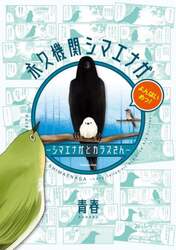永久機関シマエナガ　シマエナガとカラスさん　よんはいめっ！