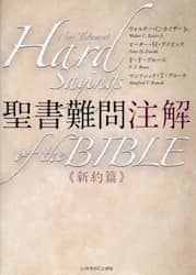 聖書難問注解　新約篇