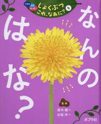 つぼみ　たね　はっぱ…しょくぶつこれ、なあに？　５