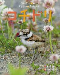 教科書にのってるどうぶつの赤ちゃん　６