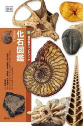 化石図鑑