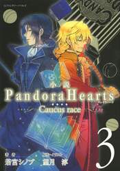 小説Ｐａｎｄｏｒａ　Ｈｅａｒｔｓ　Ｃａｕｃｕｓ　ｒａｃｅ　３