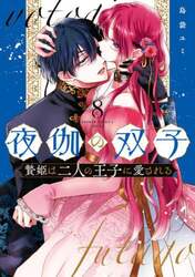 夜伽の双子　贄姫は二人の王子に愛される　８