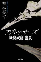 アグレッサーズ