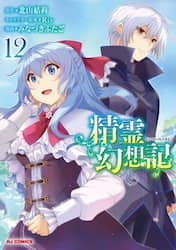 精霊幻想記　１２