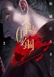 太陽と月の鋼　２