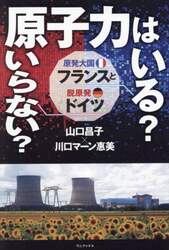 原子力はいる？いらない？原発大国フランスと脱原発ドイツ