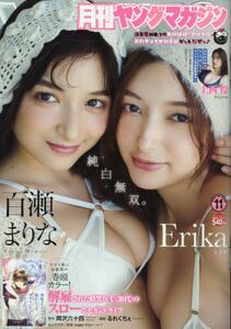 ヤングマガジン増刊　２０２５年１１月号