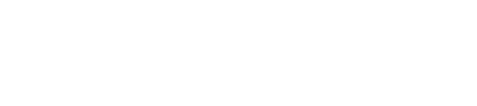 やっぱり本が好き