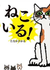 ねこいる！