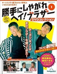 勝手にしやがれヘイ！ブラザーＤＶＤ全国版