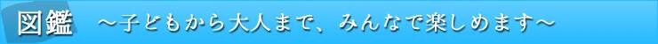 }Ӂ`qǂl܂ŁA݂ȂŊy߂܂`