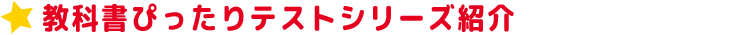 ȏ҂eXgV[YЉ