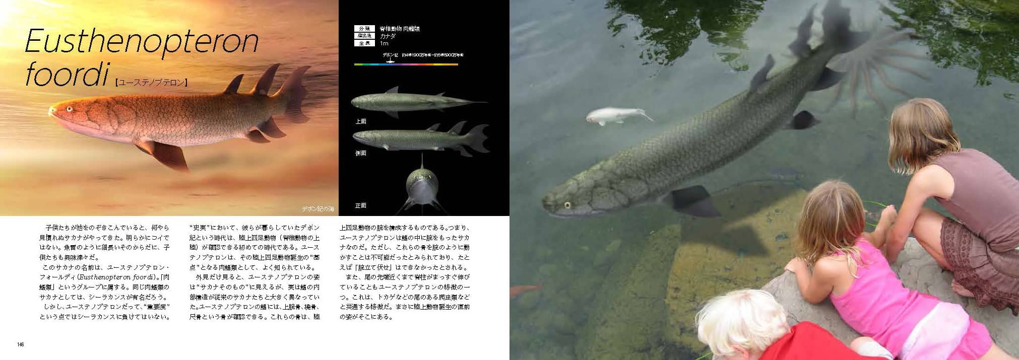 【中古本】川の生物図典 川の生物図典 | リバーフロント整備センター |本 | 通販 | Amazon