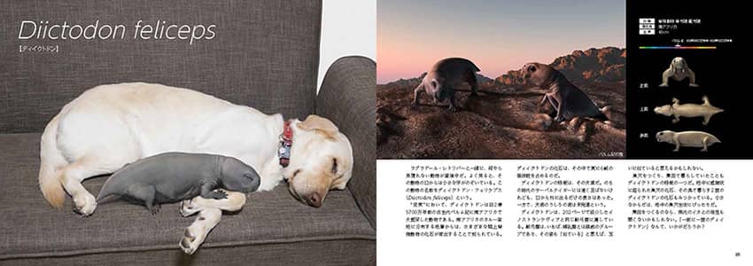 リアルサイズ古生物図鑑 古生物のサイズが実感できる！ 古生代編