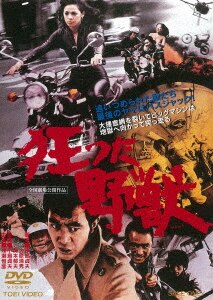 大激闘マッドポリス'80／特命刑事 コンプリートDVD/渡瀬