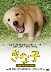 P＆Gパンテーンドラマスペシャル かるた小町/夏帆DVD・Blu