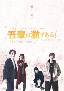 ワカコ酒 Season6 DVD－BOX/武田梨奈DVD・Blu