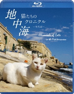 ネコネコ動画II～世界のおもしろニャンコ大集合～/動物DVD