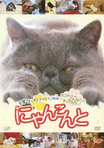 ネコネコ動画II～世界のおもしろニャンコ大集合～/動物DVD