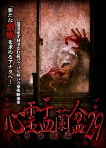 亡霊の棲む家～犬木加奈子恐怖world～/心霊DVD・Blu-ray