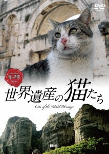 ネコネコ動画II～世界のおもしろニャンコ大集合～/動物DVD