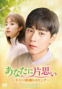 同居人は名探偵　～僕らの恋は迷宮入り～　ＤＶＤ－ＢＯＸ１ DVD】同居人は名探偵～僕らの恋は迷宮入り～ DVD-BOX1 | ヤマダ