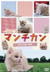 ネコネコ動画II～世界のおもしろニャンコ大集合～/動物DVD