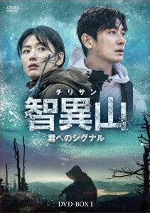 Amazon.co.jp: 仮面 DVD-BOX2 : スエ, チュ・ジフン, ヨン