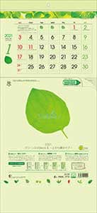 グリーン３ヶ月ｅｃｏ　Ｓ－上から順タイプ－　２０２１年カレンダー