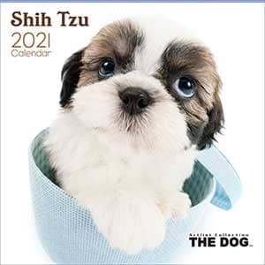 シー・ズー　２０２１年カレンダー