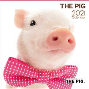 ＴＨＥ　ＰＩＧ　２０２１年カレンダー