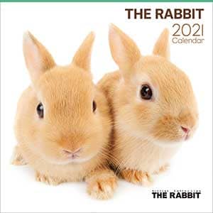 ＴＨＥ　ＲＡＢＢＩＴ　２０２１年カレンダー