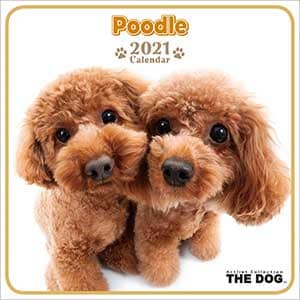 （ミニ）プードル　２０２１年カレンダー
