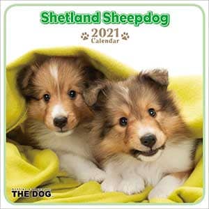 （ミニ）シェットランド・シープドッグ　２０２１年カレンダー