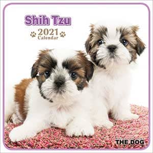 （ミニ）シー・ズー　２０２１年カレンダー