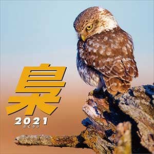 梟　～ふくろう～　２０２１年カレンダー