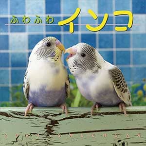 ふわふわインコ　２０２１年カレンダー