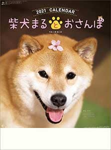 柴犬まるとおさんぽ　２０２１年カレンダー