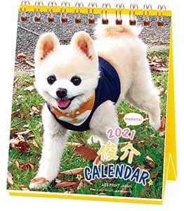俊介　週めくりミニ　２０２１年カレンダー
