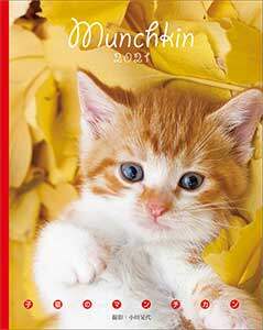 卓上　子猫のマンチカン　ＢＯＯＫ型　２０２１年カレンダー