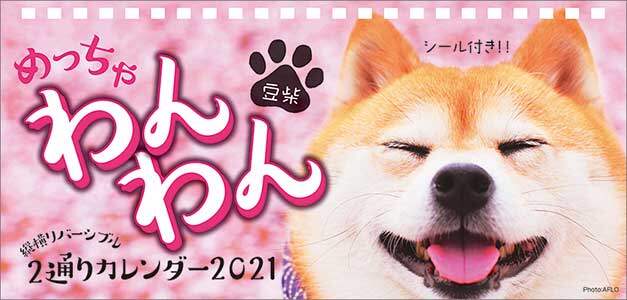卓上　めっちゃ豆柴カレンダー　２０２１年カレンダー