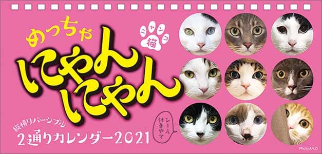 卓上　めっちゃニャンコカレンダー　２０２１年カレンダー