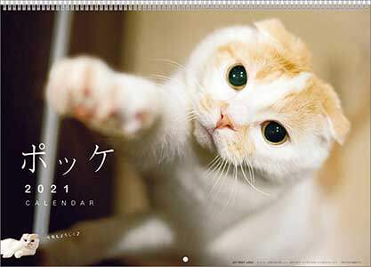 ポッケ　２０２１年カレンダー