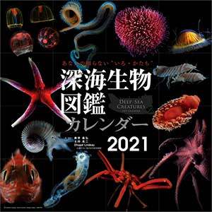 深海生物図鑑　２０２１年カレンダー