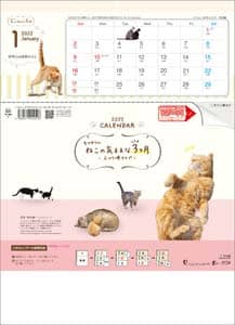 ねこの気ままな３ヶ月－上から順タイプ－　２０２２年カレンダー