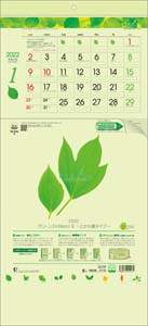 グリーン３ヶ月ｅｃｏ　Ｓ－上から順タイプ－　２０２２年カレンダー