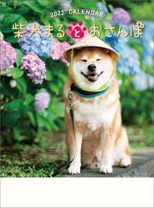 柴犬まるとおさんぽ　２０２２年カレンダー