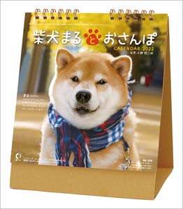 卓上　柴犬まるとおさんぽ　２０２２年カレンダー