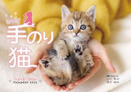 Ｌｏｖｅｌｙ　手のり猫　２０２２年カレンダー